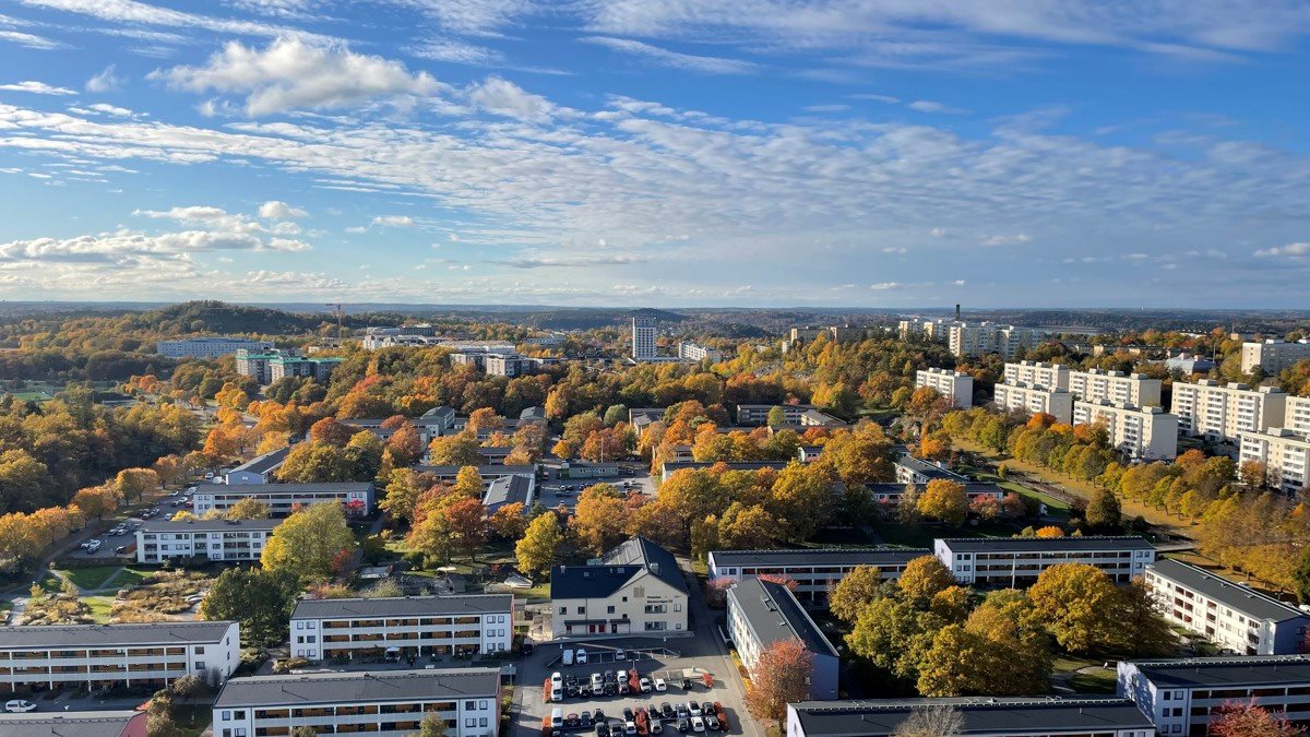 Utsikt över hus och skog